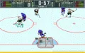 Brett Hull Hockey '95 vignette #4