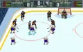 Brett Hull Hockey '95 vignette #9