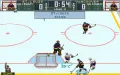 Brett Hull Hockey '95 vignette #10
