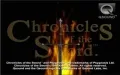 Chronicles of the Sword vignette #1