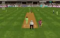 Cricket 97 vignette #8