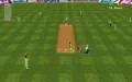 Cricket 97 vignette #9