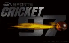 Cricket 97 vignette