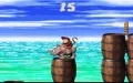 Donkey Kong Country 2: Diddy's Kong Quest vignette #3