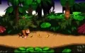Donkey Kong Country vignette #2