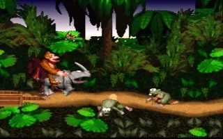 Donkey Kong Country capture d'écran 3