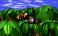 Donkey Kong Country vignette #8