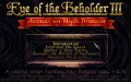 Eye of the Beholder 3: Assault on Myth Drannor vignette #1