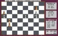 Grandmaster Chess vignette #3