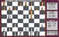 Grandmaster Chess miniatura #7