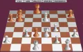 Grandmaster Chess vignette #9