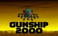 Gunship 2000 vignette #1