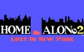 Home Alone 2: Lost in New York vignette #1