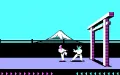 Karateka miniatura #3