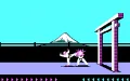 Karateka vignette #5