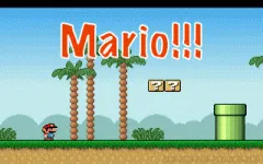 Mario vignette