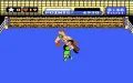 Mike Tyson's Punch-Out!! vignette #4