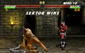 Mortal Kombat 3 vignette #5