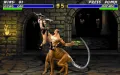 Mortal Kombat 3 zmenšenina #13