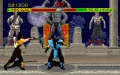 Mortal Kombat zmenšenina #9