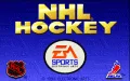 NHL Hockey vignette #1