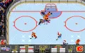 NHL Hockey vignette #3