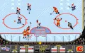 NHL Hockey miniatura #5