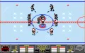 NHL Hockey miniatura #8