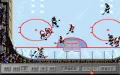 NHL Hockey miniatura #10