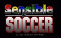 Sensible Soccer miniatura #1