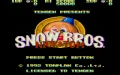 Snow Brothers vignette #1