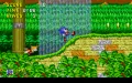 Sonic the Hedgehog 2 vignette #3