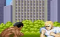 Street Fighter 2 vignette #6