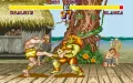 Street Fighter 2 zmenšenina #12