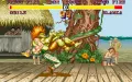 Street Fighter 2 vignette #19