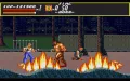 Streets of Rage thumbnail #13