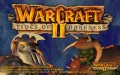 Warcraft 2: Tides of Darkness vignette #1