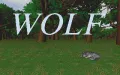 Wolf miniatura #28