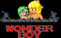 Wonder Boy vignette #1