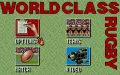 World Class Rugby miniatura #7