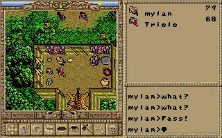 Worlds of Ultima: The Savage Empire captura de pantalla 3