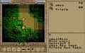 Worlds of Ultima: The Savage Empire vignette #7