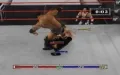 WWF Raw zmenšenina #5