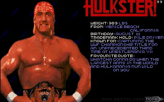 WWF WrestleMania captura de pantalla 2