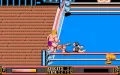 WWF WrestleMania miniatura #4