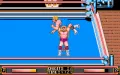 WWF WrestleMania miniatura #10