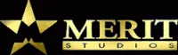 Merit Software logo