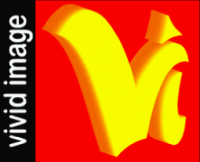Vivid Image logo