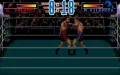 3D World Boxing vignette #4