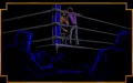 3D World Boxing zmenšenina 7